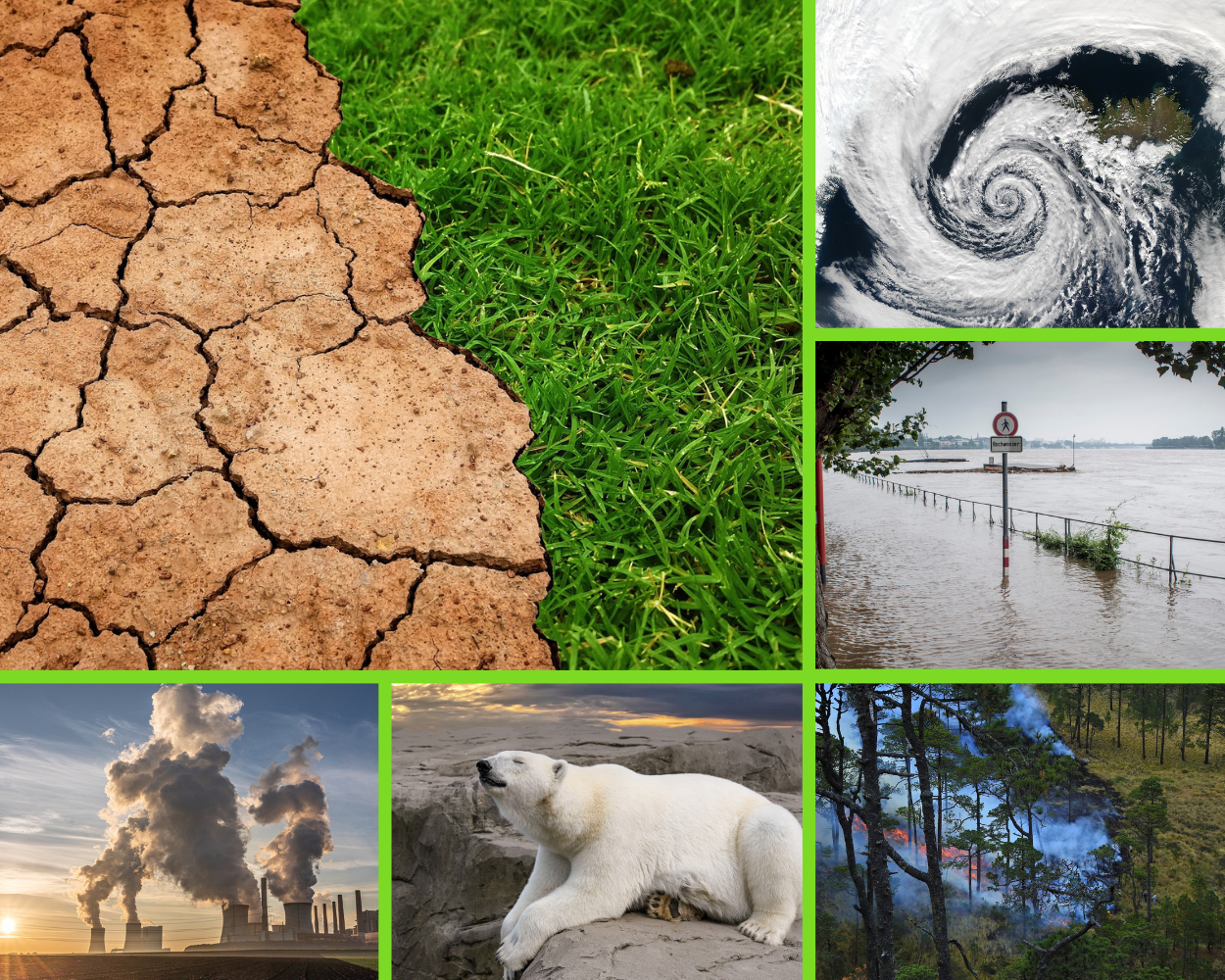 Climate change photo collage